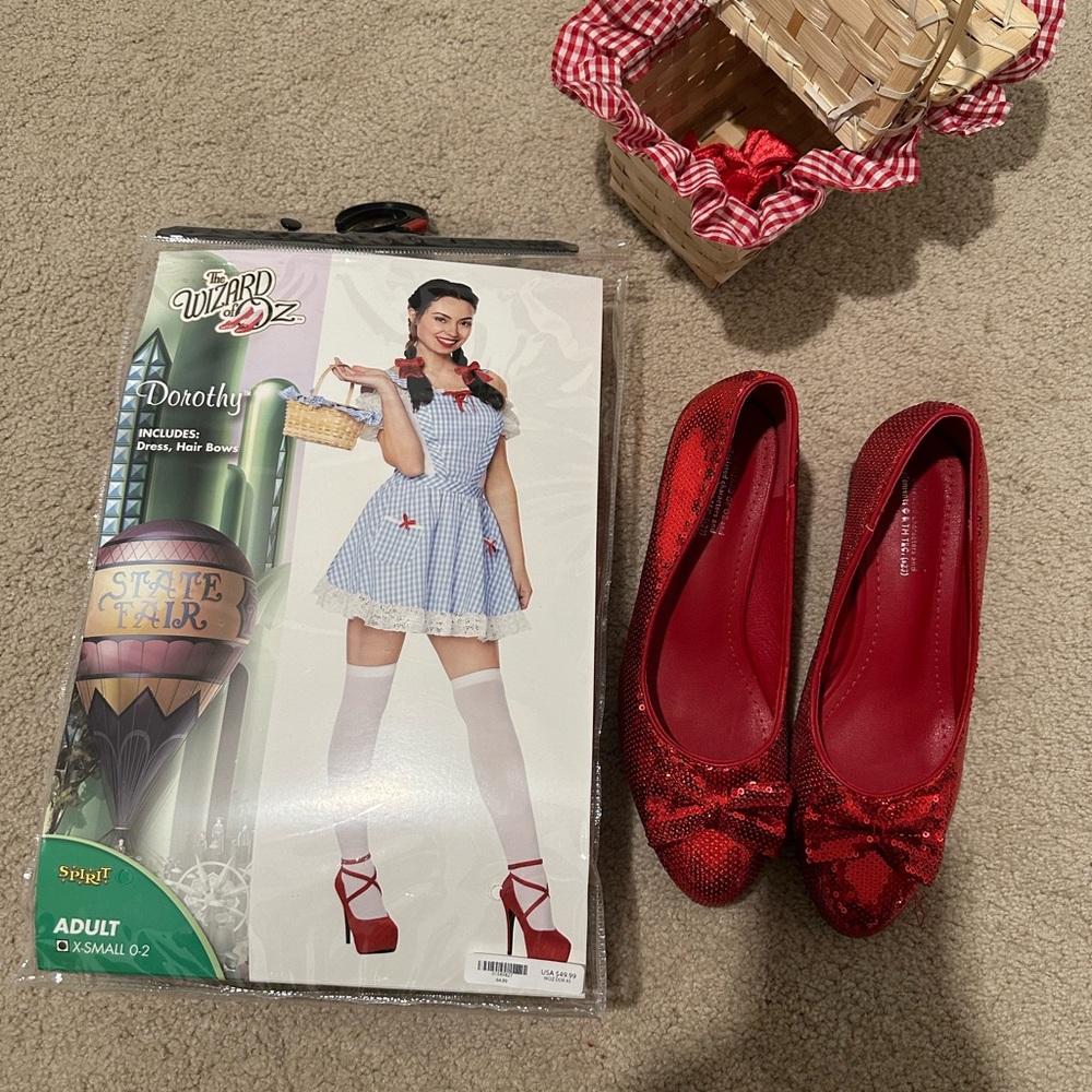 Dorothy costume